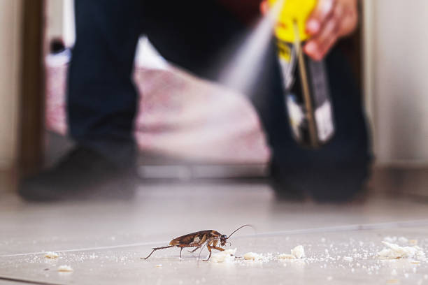 Jackson, WI Pest Control Company